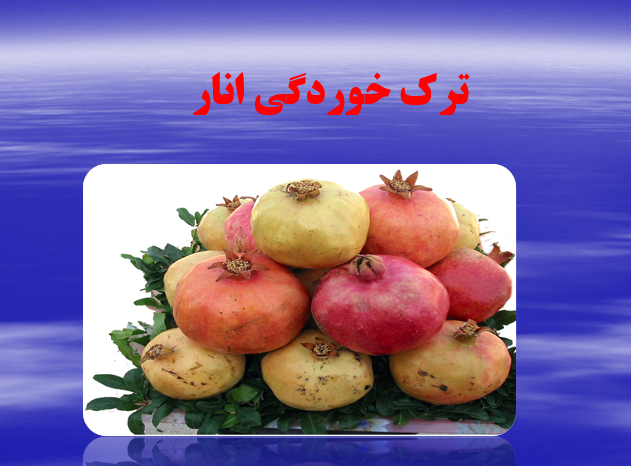 tarak khordegie anar